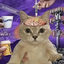 PSYOPCAT price logo