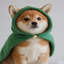 PUMPCHAN price logo