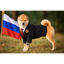 PUTINU price logo