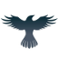 Logo Raven Protocol