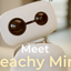 REACHY price logo