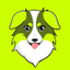 ROBDOG price logo