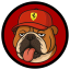 ROSCOE price logo