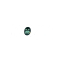 ROXX price logo