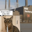 RSICAT price logo