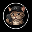 SEECAT price logo