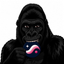 SGORILLA price logo