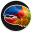 SHELLEYBAY price logo