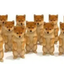 SHIBES price logo