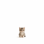 SHORTCAT price logo