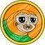Logo SLERF