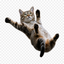 SLIDINGCAT price logo