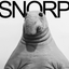 SNORP price logo