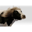 STABLECOW price logo