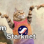 STARKCAT price logo