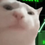 STOCKCAT price logo