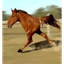 STONKHORSE price logo