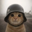TRENCHCAT price logo