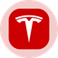 TSLAON price logo
