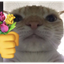 TULIPCAT price logo