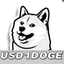 USD1DOGE price logo