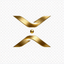 VXVO price logo
