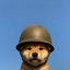 WARDOG price logo