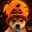 WIFOWEEN price logo