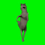 WOLFPACK price logo