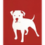 ZINGA price logo