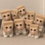 ZKITTIES price logo