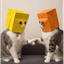 ZMCATS price logo